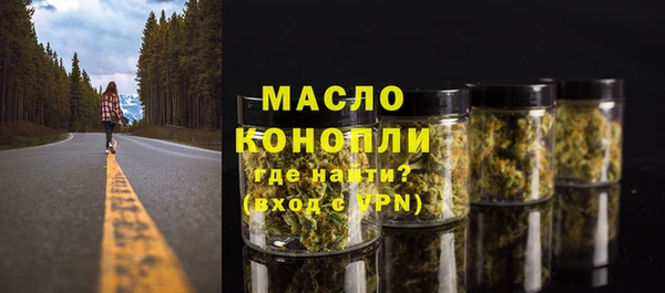 индика Кодинск