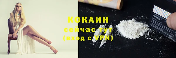индика Кодинск