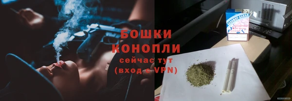 индика Кодинск