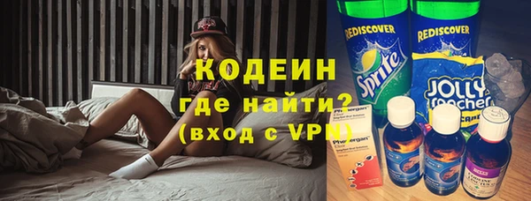 индика Кодинск