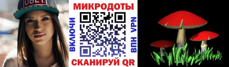 Псилоцибиновые грибы мицелий  дарк нет формула  Новая Усмань  купить наркотик 