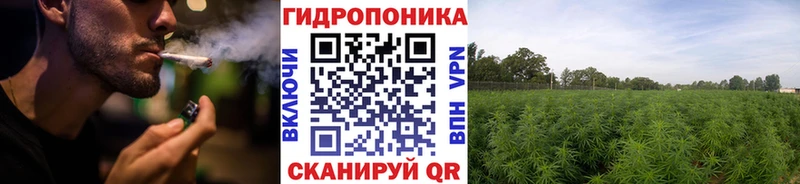 Бошки Шишки сатива  ОМГ ОМГ онион  Новая Усмань 